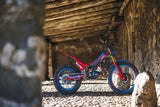 2025 EVO FACTORY 4T 300
