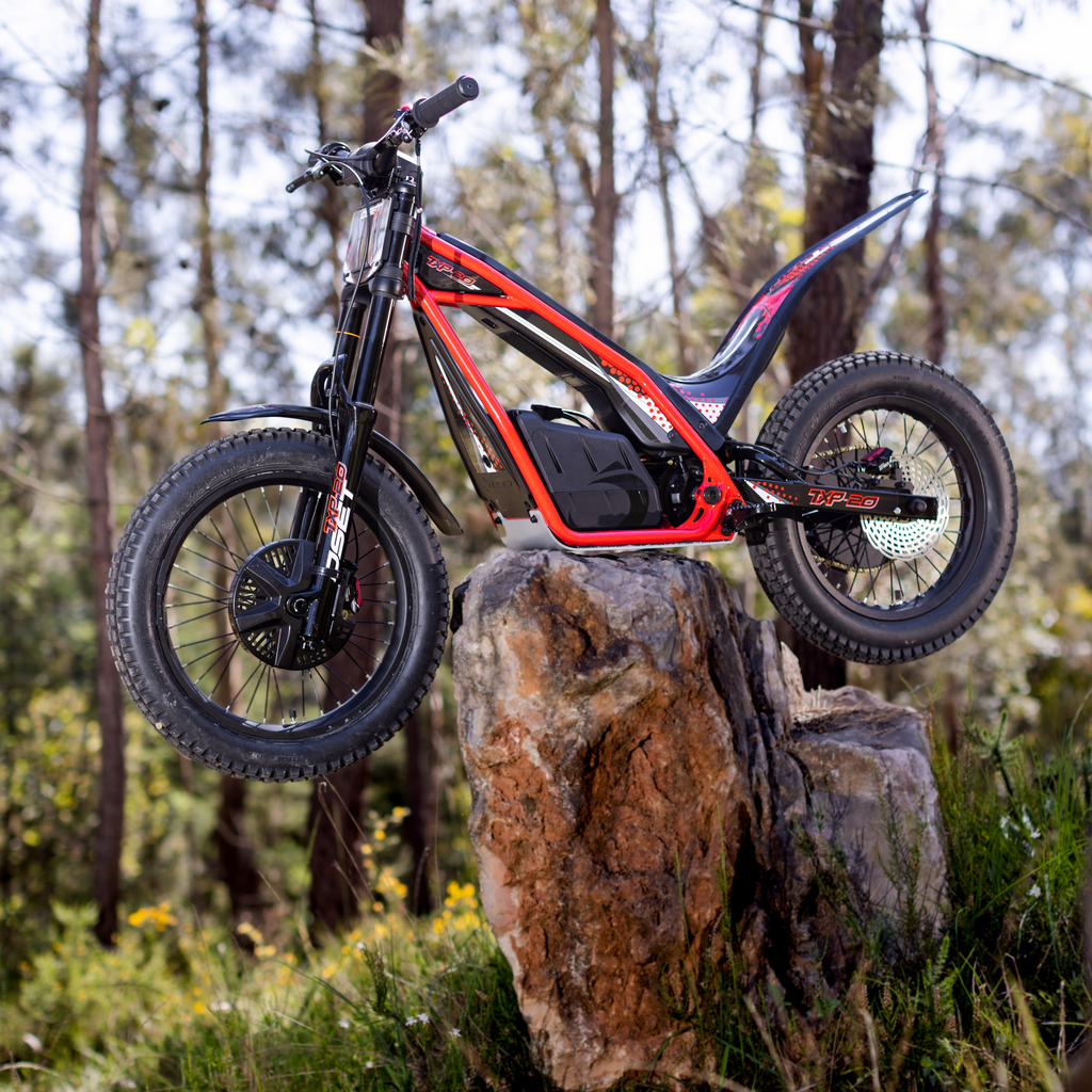 Txp online fat bike