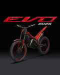 NEW 2025 BETA EVO 250 2T