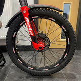 2025 EVO 250 2T