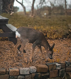 Ribble Heights Lodge