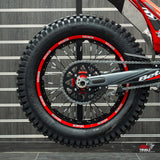 NEW 2025 BETA EVO 250 2T