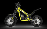 NEW TRIUMPH TXP-12 **ORDER FOR XMAS**