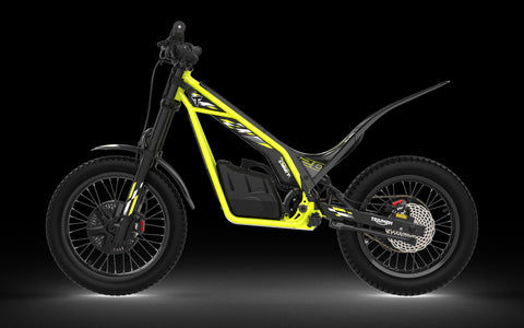 NEW TRIUMPH TXP-20 **ORDER FOR XMAS**