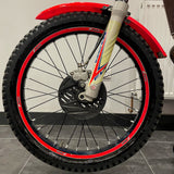 2012 EVO FACTORY 300 **FAJARDO REPLICA**