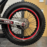 2012 EVO FACTORY 300 **FAJARDO REPLICA**